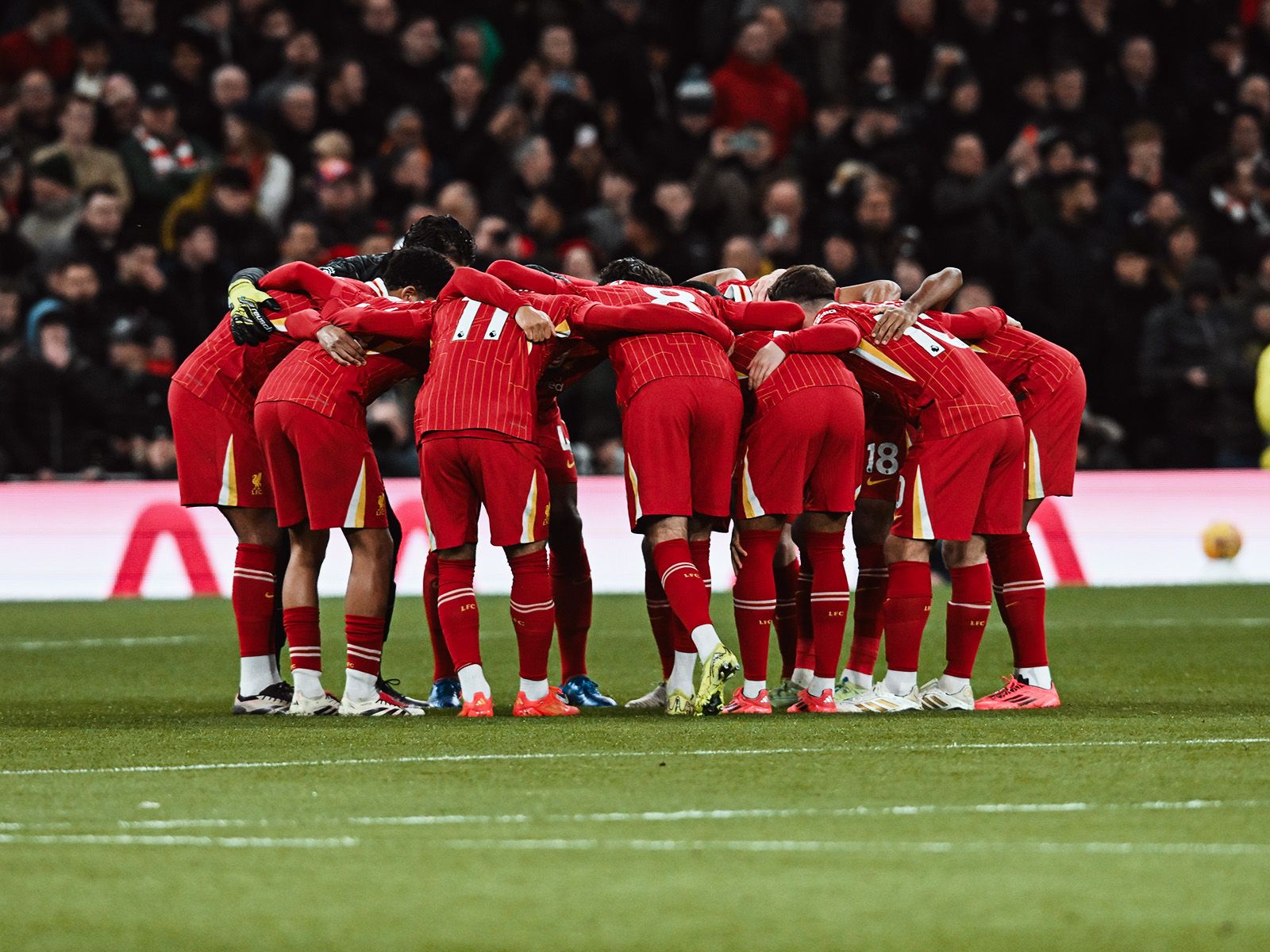 NBA第一球痴！塔图姆穿保护靴+水下训练，连出席婚礼都要训练